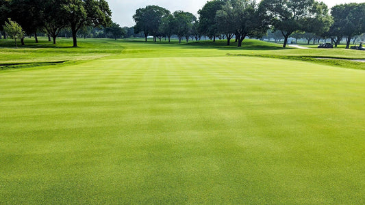 Photo Credit: DLF / Colonial Country Club