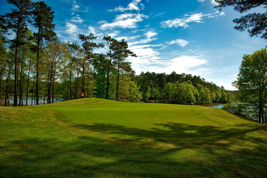 The Economics of Putting: Course Design and Maintenance of Putting Greens
